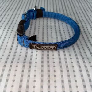 Spindrift dog collar, blue, size XXSMALL (10”-12”)